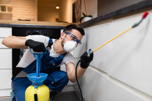 Best Wildlife Control Services  in Whitfield, FL