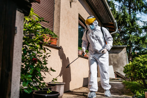 Reliable Whitfield, FL Pest Control Solutions