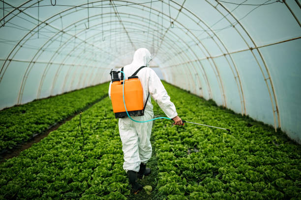 Pest Prevention Services in Whitfield, FL