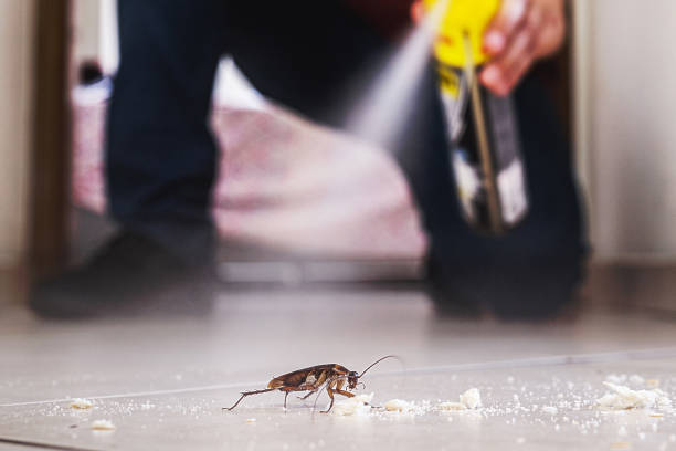 Best Pest Inspection Near Me  in Whitfield, FL
