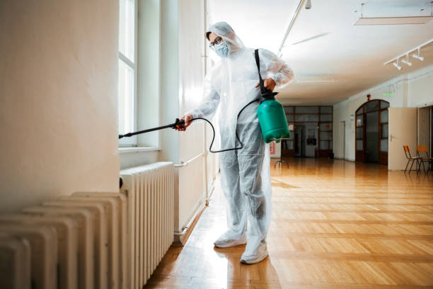 Best Best Pest Control Companies  in Whitfield, FL