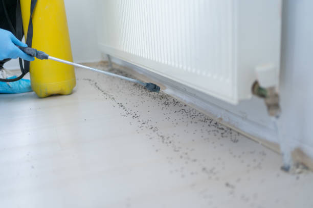 Best Cockroach Control Services  in Whitfield, FL