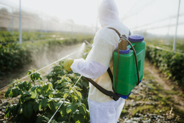  Whitfield, FL Pest Control Pros
